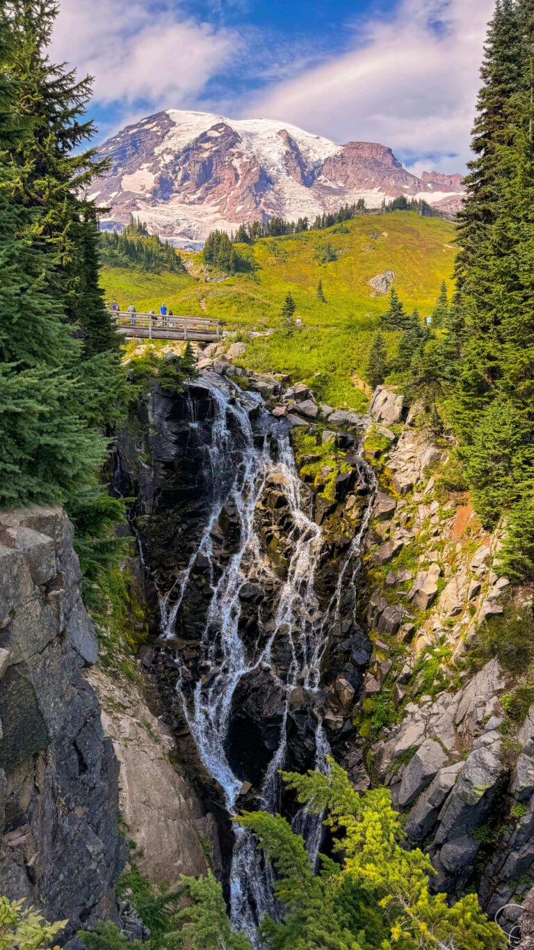 Scenic view of Myrtle Falls with Mount Rainier in the background, surrounded by lush greenery and wildflowers in Washington’s Paradise area.