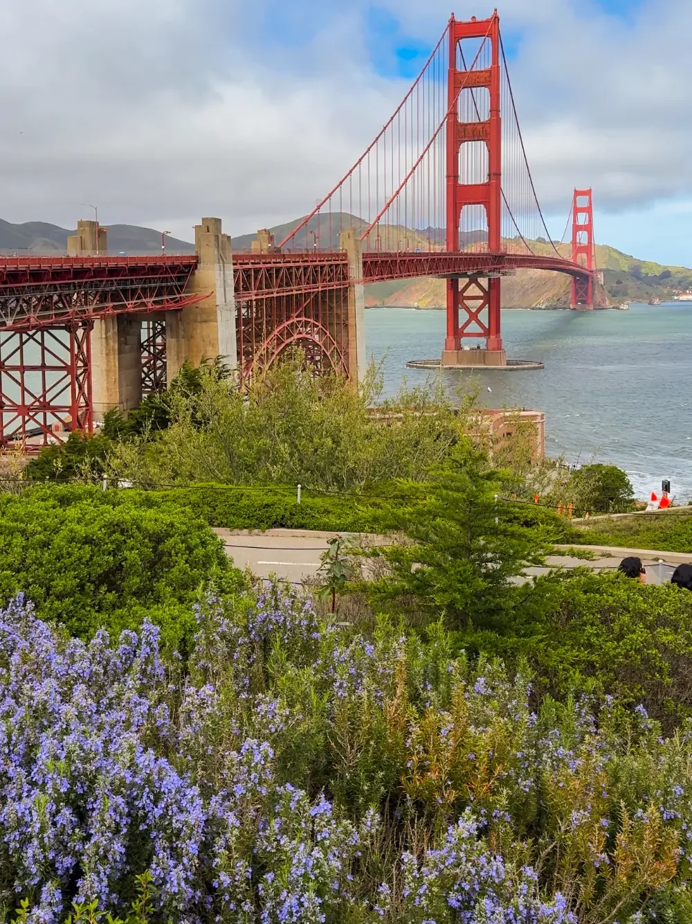 Golden Gate Bridge Welcome Centerwildflowers spring California panoramic view