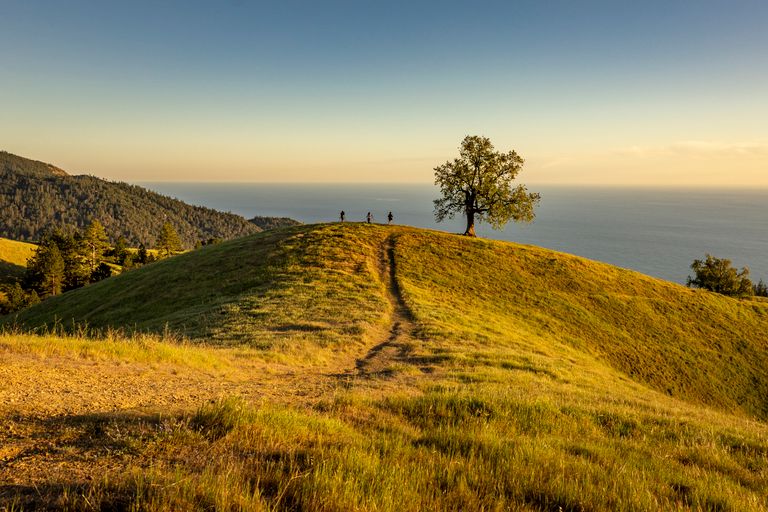 A tranquil landscape featuring hikers on a grassy hill overlooking the ocean, captured during golden hour.