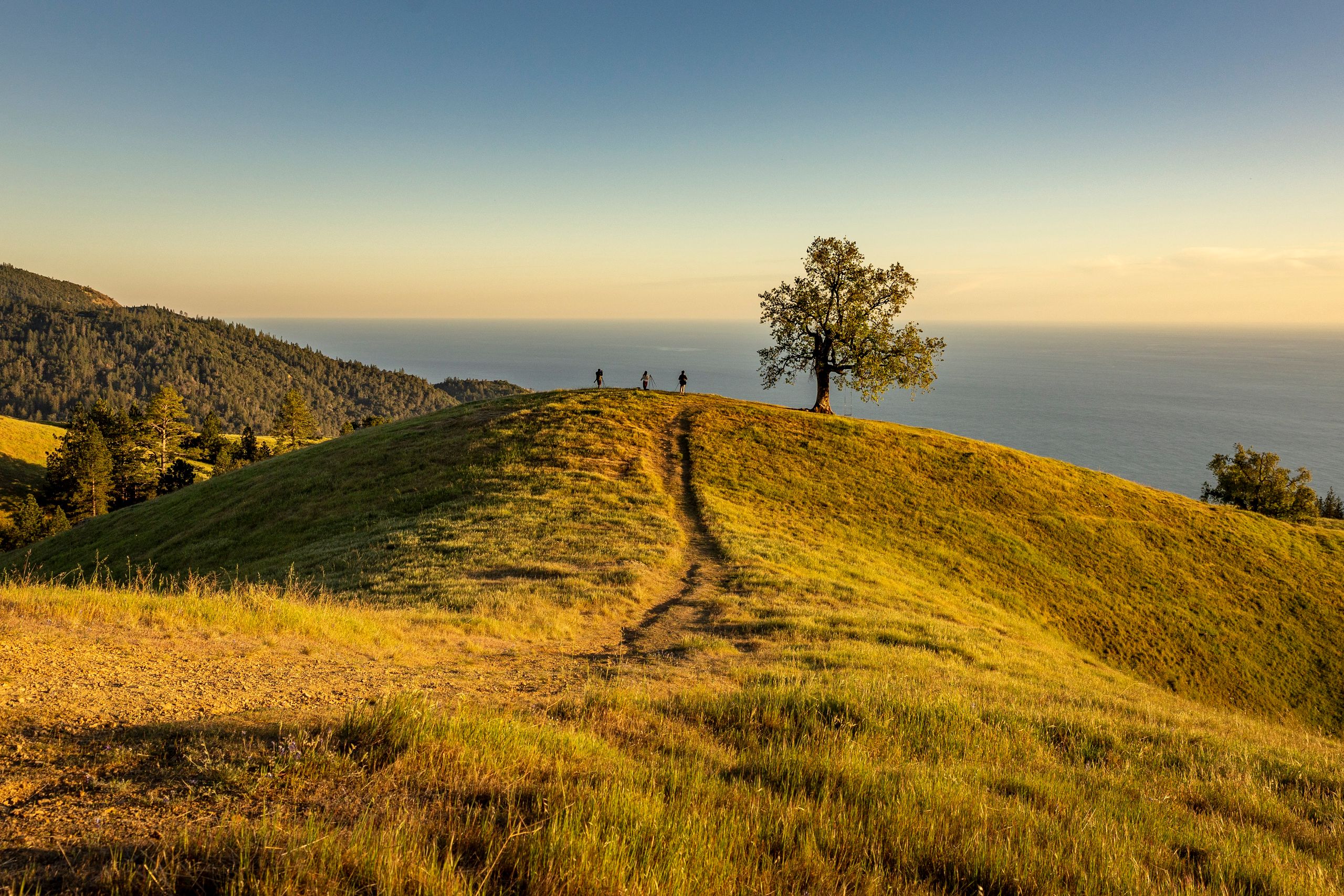A tranquil landscape featuring hikers on a grassy hill overlooking the ocean, captured during golden hour.