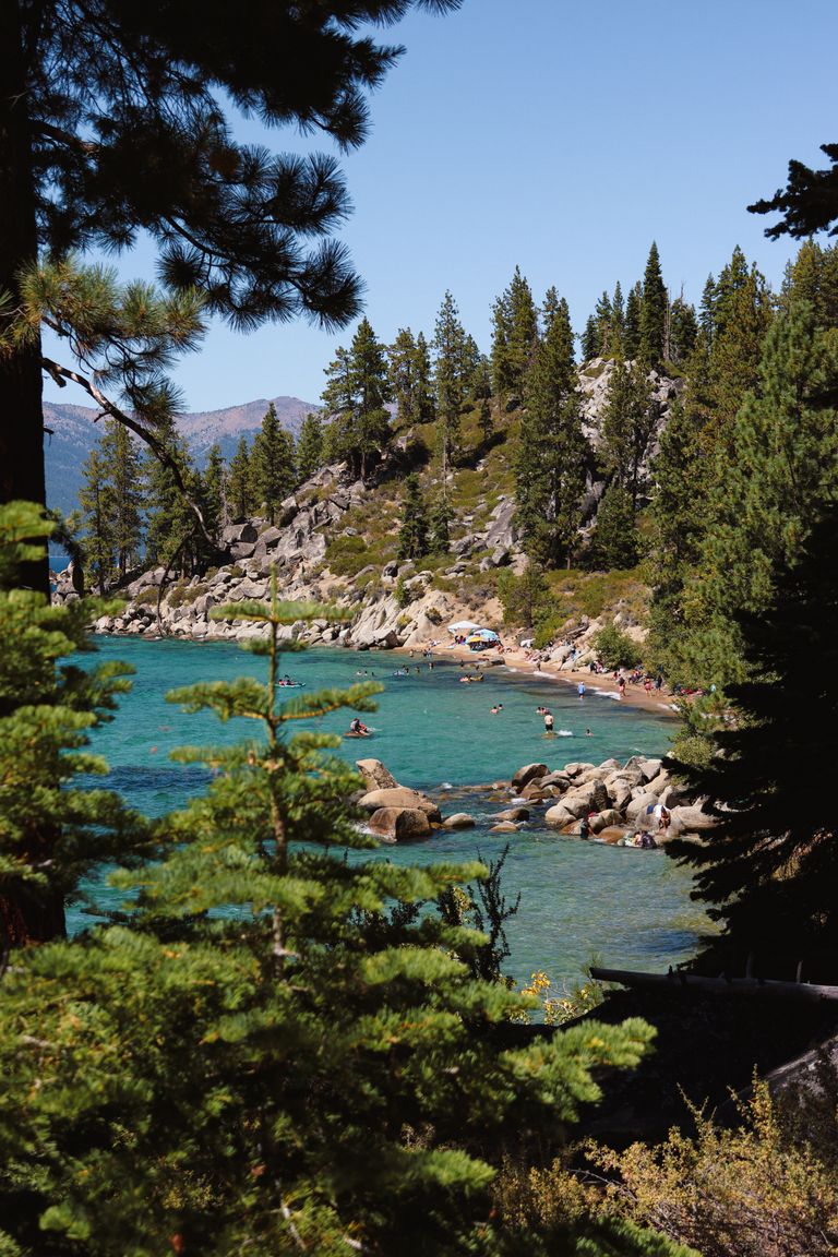 Captivating summer vista of Lake Tahoe with evergreen trees and clear waters.