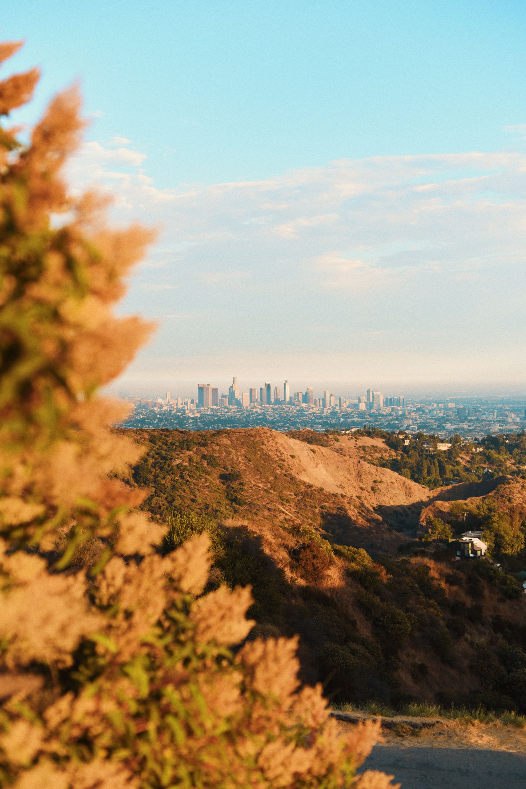 Scenic view of Los Angeles skyline from Griffith Park, captured during golden hour.